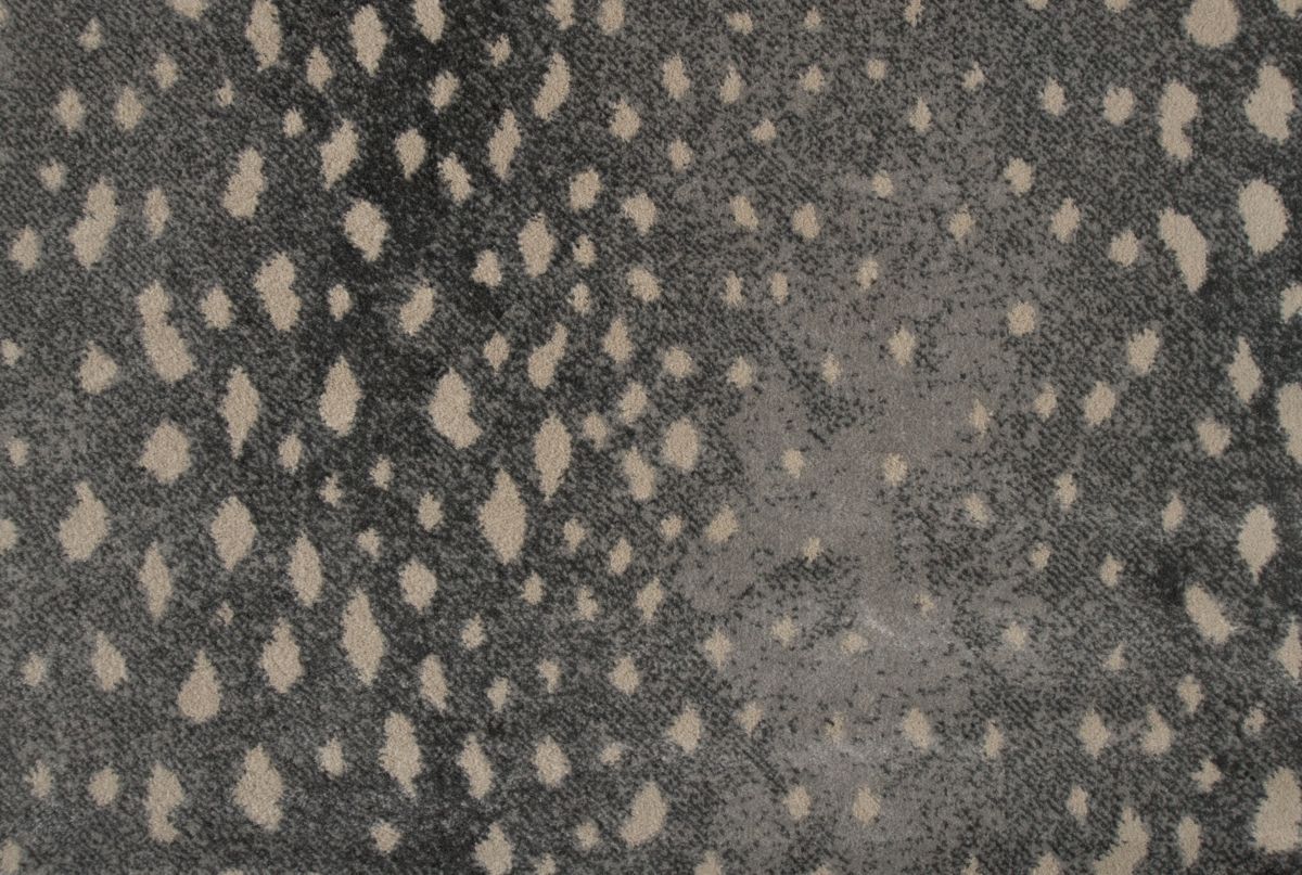 T01000762_CL