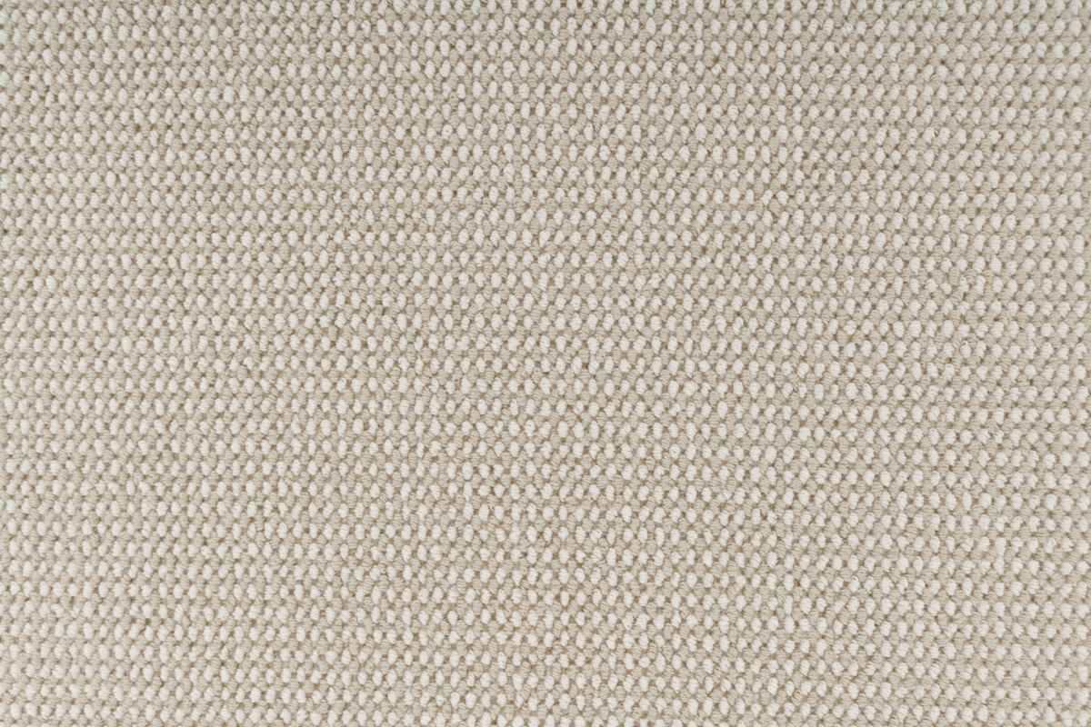 T01005786_CL