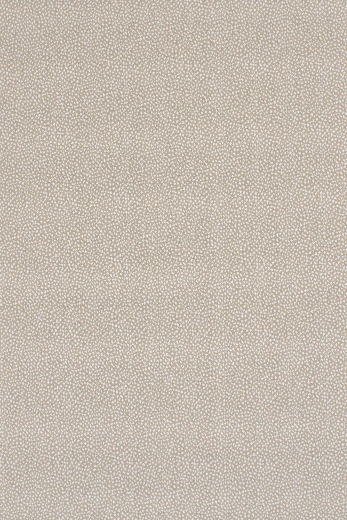 T01006984_ALT2