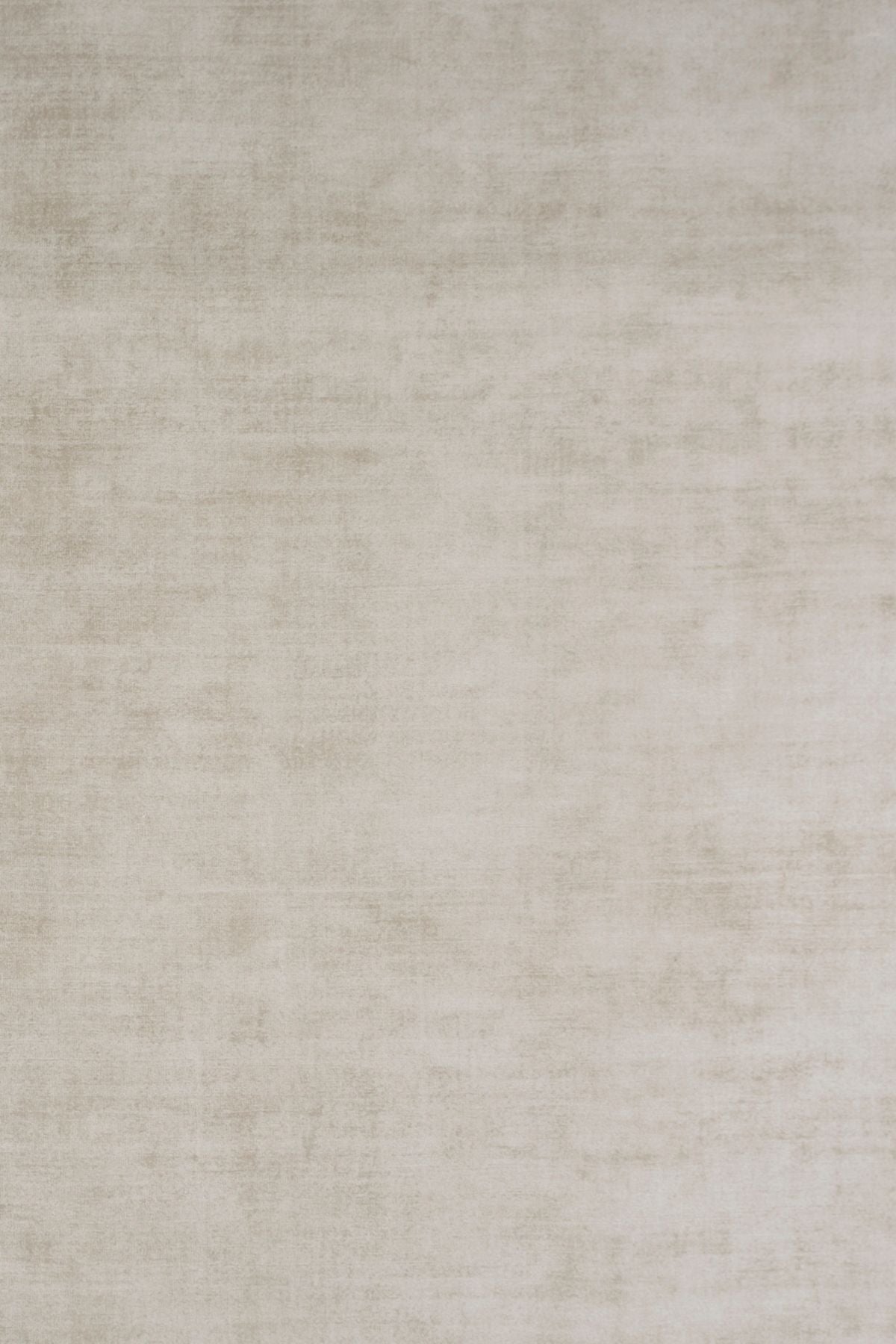 T01013547_ALT2